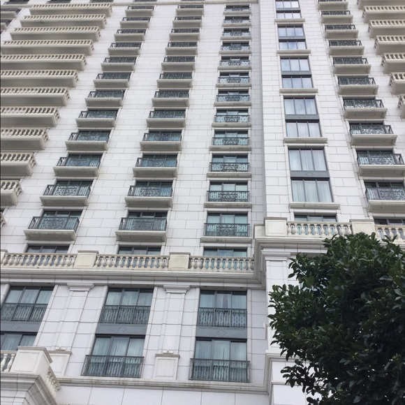 Meet your Posher, Miles - Picture 6 of 6